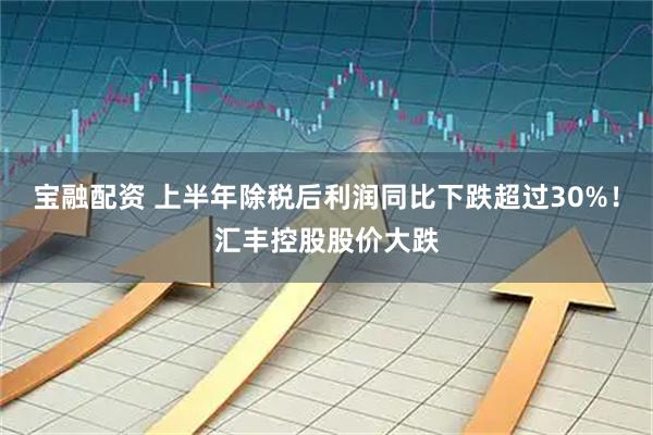 宝融配资 上半年除税后利润同比下跌超过30%！汇丰控股股价大跌